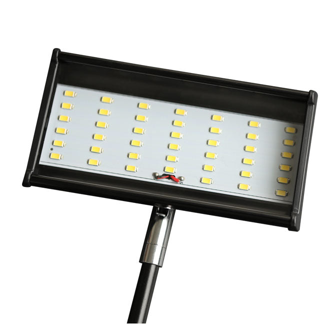 Two 5W LED Lights