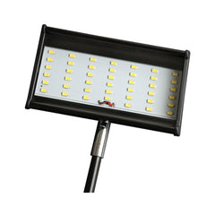 Two 5W LED Lights