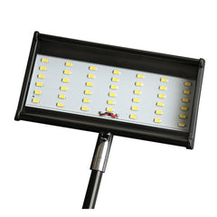 Two 5W LED Lights