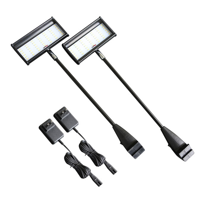 Two 5W LED Lights